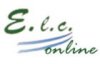 Euro-language consultant