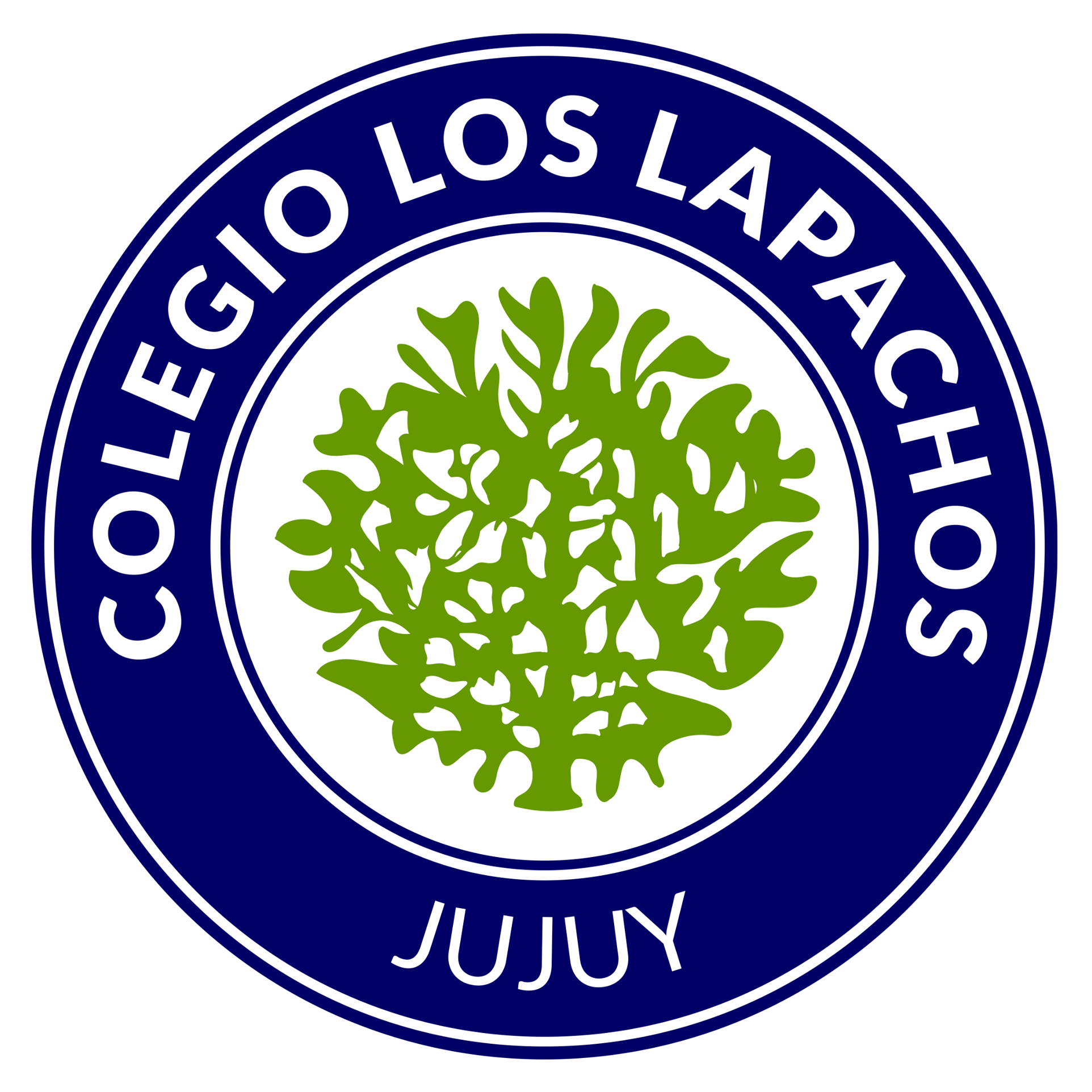 Colegio los lapachos