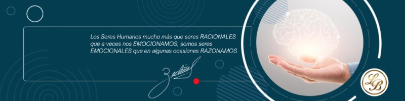 Lbr consulting group