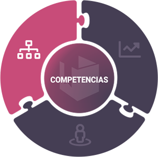 boton ejecutiva competencias