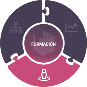 boton ejecutiva formación